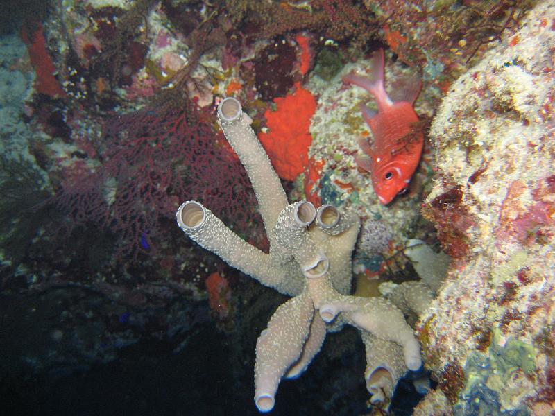 2009-12-04 14-46-04S.JPG